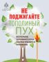 Тополиный пух, карельская «жара», июль