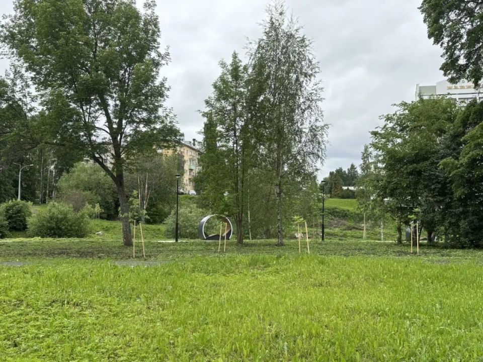 На набережной Петрозаводска создадут новое общественное пространство — «Сад камней»