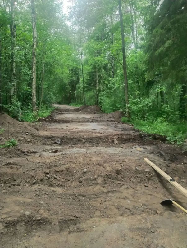 Колыхматова: В парке Каменный Ручей подрядчик проводит работы по благоустройству Колыхматова: В парке Каменный Ручей подрядчик проводит работы по благоустройству