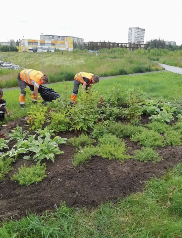 Колыхматова: Поддерживаем порядок на городских клумбах Колыхматова: Поддерживаем порядок на городских клумбах
