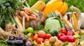 Овощи осени: как улучшить метаболизм с помощью одного продукта