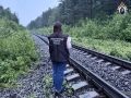 5 июля около 21:00 в районе поселка Чална Пряжинского района погиб мужчина