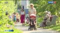 Для мониторинга лесов в Карелии привлекут легкомоторные самолеты