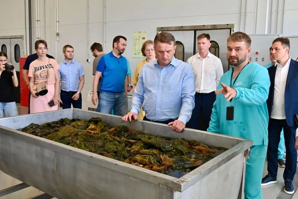 Артур Парфенчиков: Сегодня под Кондопогой мы открыли завод по переработке водорослей Артур Парфенчиков: Сегодня под Кондопогой мы открыли завод по переработке водорослей