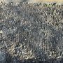 Ключ к здоровой почве: как быстро и эффективно аэрировать сад