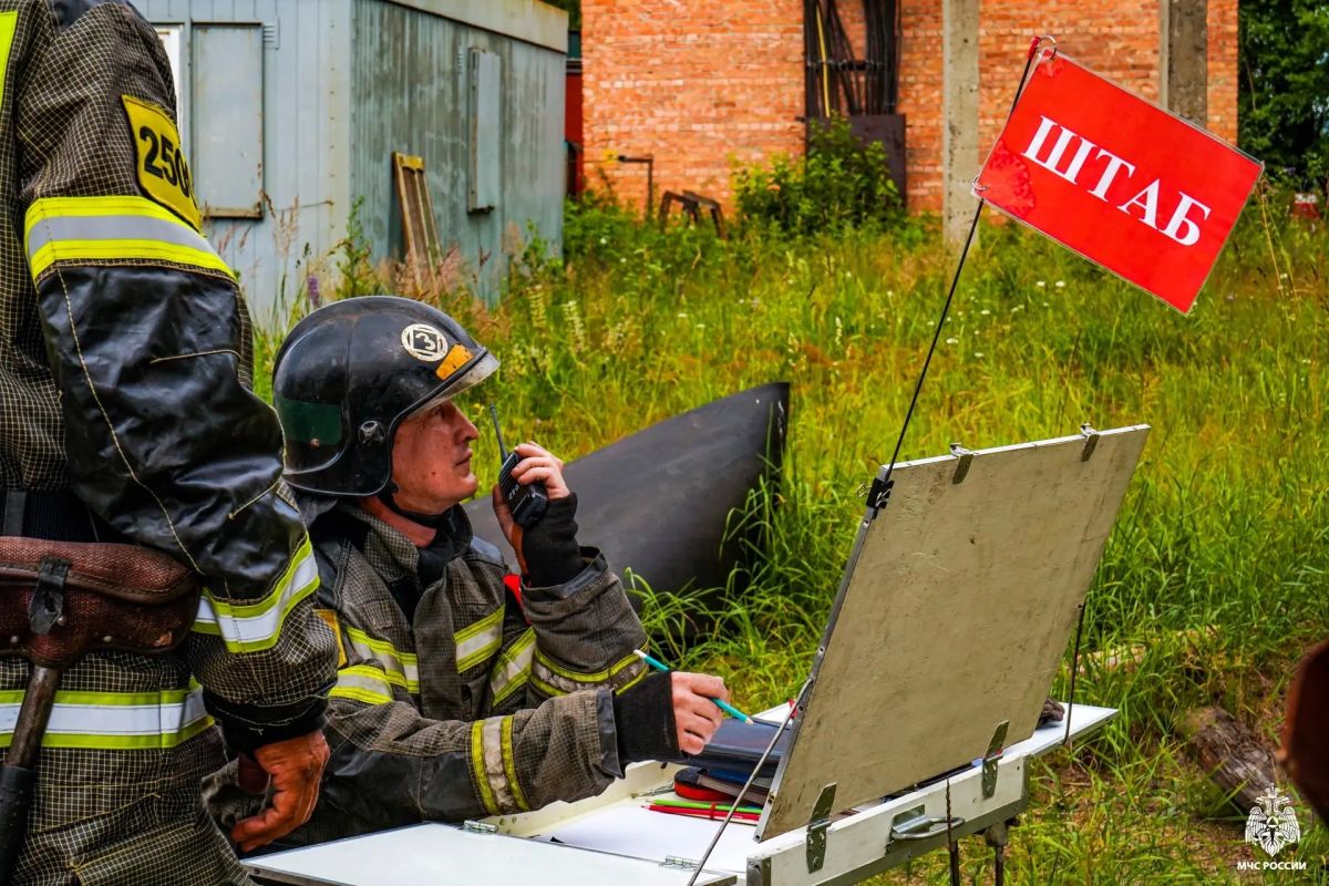Тренировка среди штабелей круглого леса Тренировка среди штабелей круглого леса