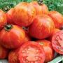 Томат Оранжевая зебра: яркие полосатые плоды с насыщенным вкусом