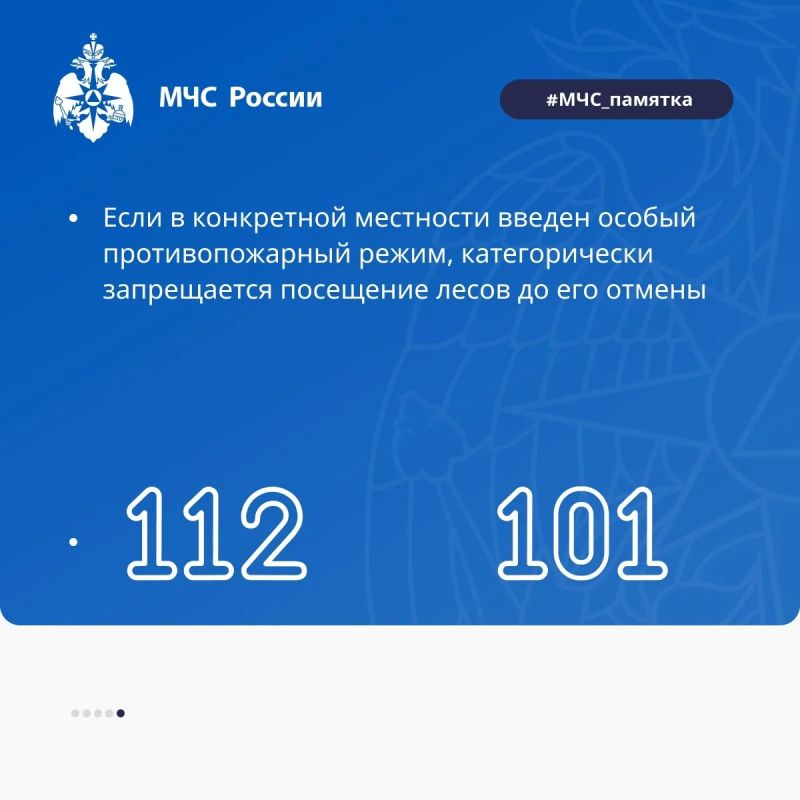 Как не допустить лесной пожар? Как не допустить лесной пожар?
