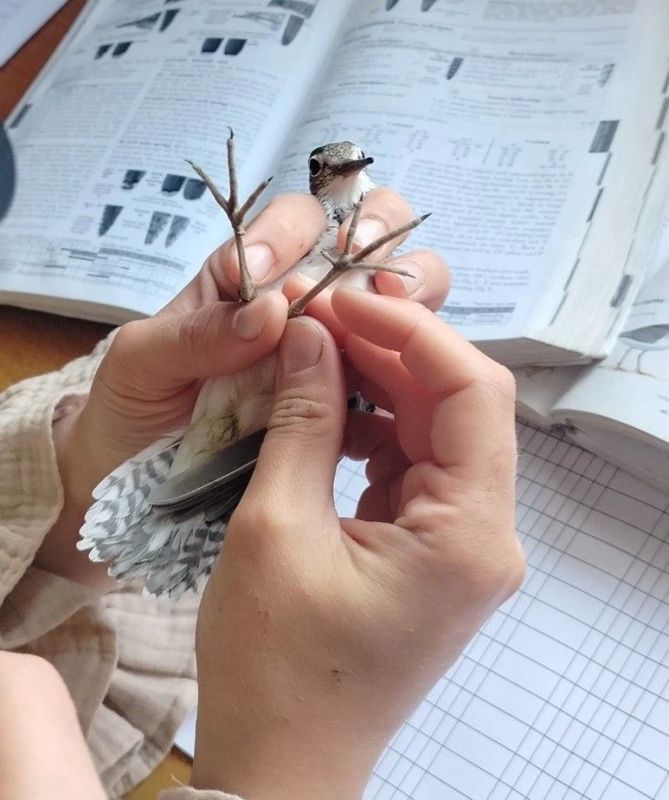 Ведущий инженер ЦЛАТИ по Республике Карелия Кристина Петрова даже свободное от работы время посвящает заботе о природе Ведущий инженер ЦЛАТИ по Республике Карелия Кристина Петрова даже свободное от работы время посвящает заботе о природе