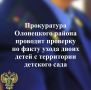Прокуратура Олонецкого района проводит проверку по факту ухода двоих детей с территории детского сада