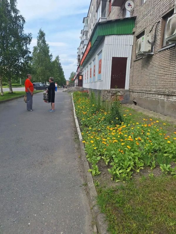 Жительница Кеми создает красоту у своего дома Жительница Кеми создает красоту у своего дома