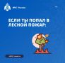 ПОПАЛ В ЛЕСНОЙ ПОЖАР? . Пожары в лесах — частая история для нашего края и важно понимать, что нужно делать для сохранения жизни