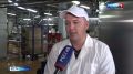 С 1500 до 2000 тонн молока в месяц должен увеличить переработку Олонецкий комбинат