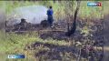 Медвежьегорское лесничество – лидер по использованию БПЛА