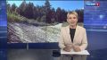Дети и подростки на самокатах, питбайках мопедах и электровелосипедах в сезон становятся серьезной проблемой