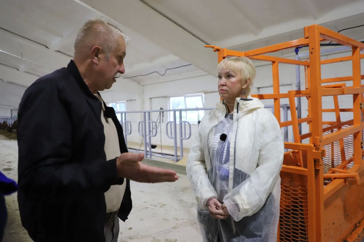 Совхоз «Эссойла» планирует увеличить поголовье дойного стада Совхоз «Эссойла» планирует увеличить поголовье дойного стада