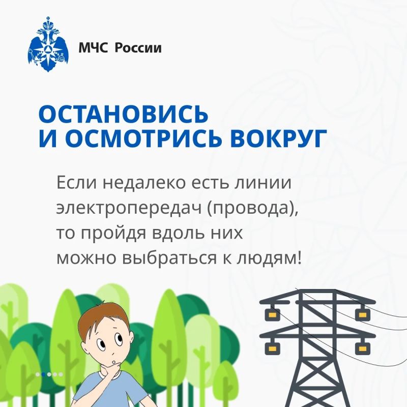 Заблудился в лесу, что делать? Заблудился в лесу, что делать?