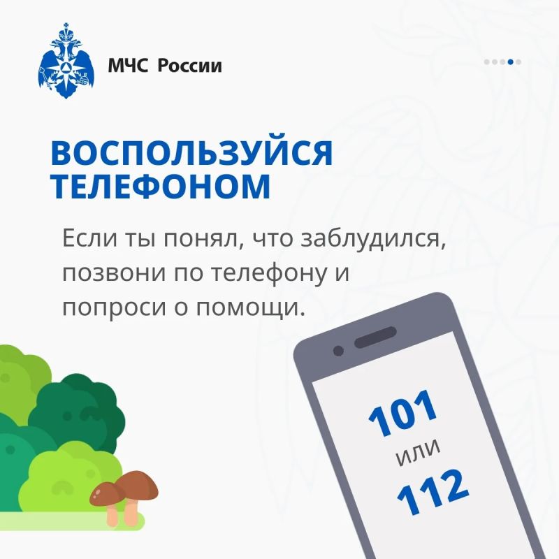 Заблудился в лесу, что делать? Заблудился в лесу, что делать?