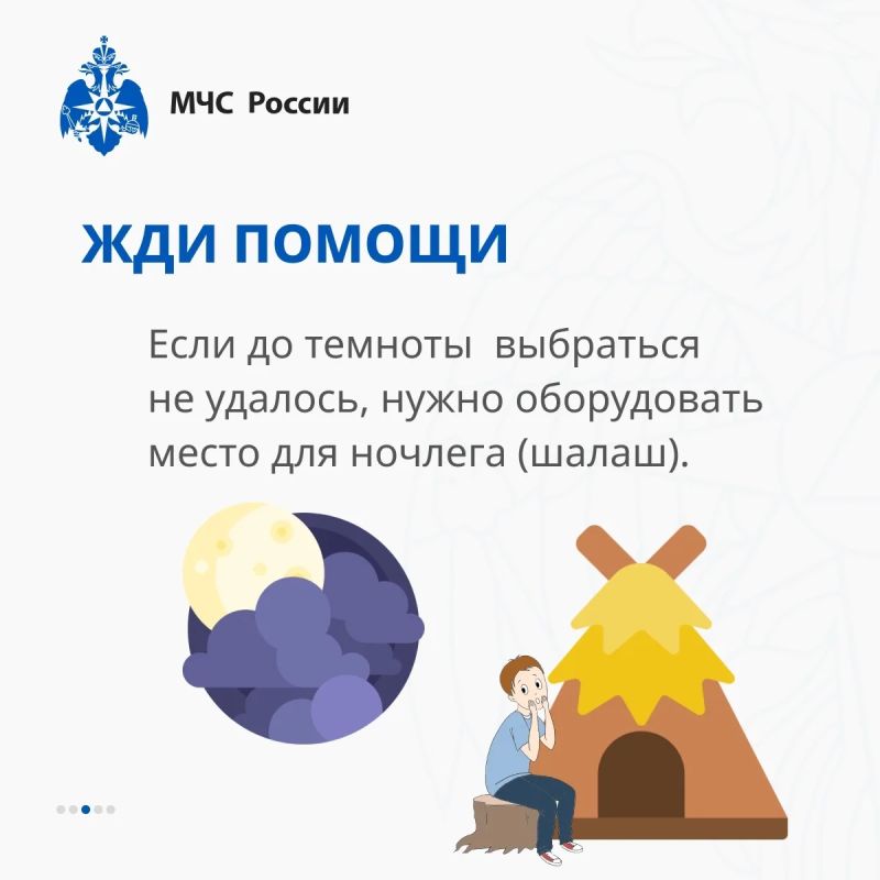 Заблудился в лесу, что делать? Заблудился в лесу, что делать?