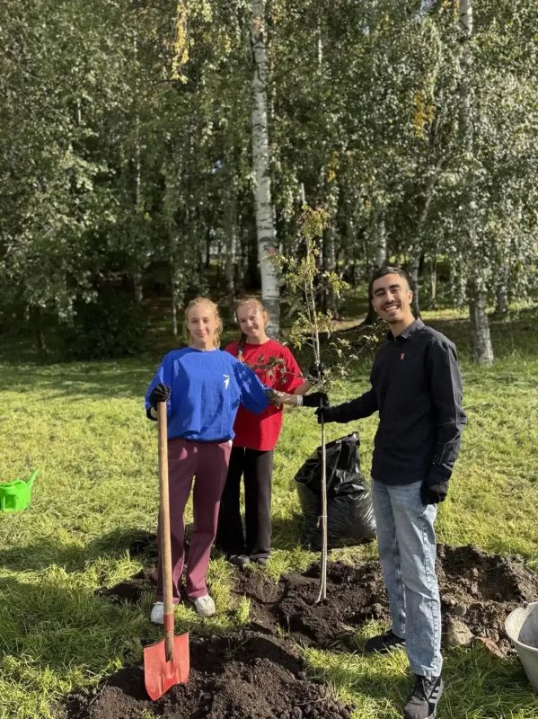 Колыхматова: Делаем город уютнее!. В этом году мы высадили в три раза больше цветов на улицах города, создали новые цветочные клумбы, впервые провели городской конкурс «Цветочный Петрозаводск», высадили более 100 деревьев и... Колыхматова: Делаем город уютнее!. В этом году мы высадили в три раза больше цветов на улицах города, создали новые цветочные клумбы, впервые провели городской конкурс «Цветочный Петрозаводск», высадили более 100 деревьев и...