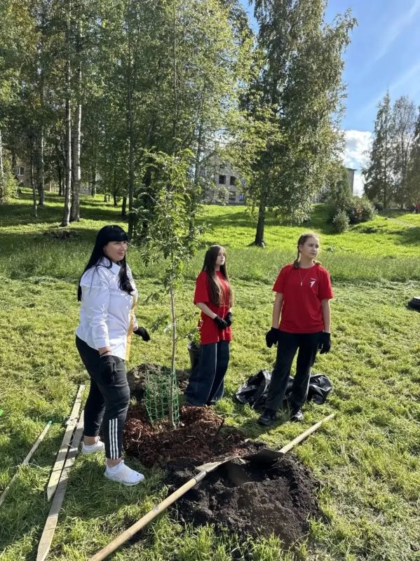 Колыхматова: Делаем город уютнее!. В этом году мы высадили в три раза больше цветов на улицах города, создали новые цветочные клумбы, впервые провели городской конкурс «Цветочный Петрозаводск», высадили более 100 деревьев и... Колыхматова: Делаем город уютнее!. В этом году мы высадили в три раза больше цветов на улицах города, создали новые цветочные клумбы, впервые провели городской конкурс «Цветочный Петрозаводск», высадили более 100 деревьев и...