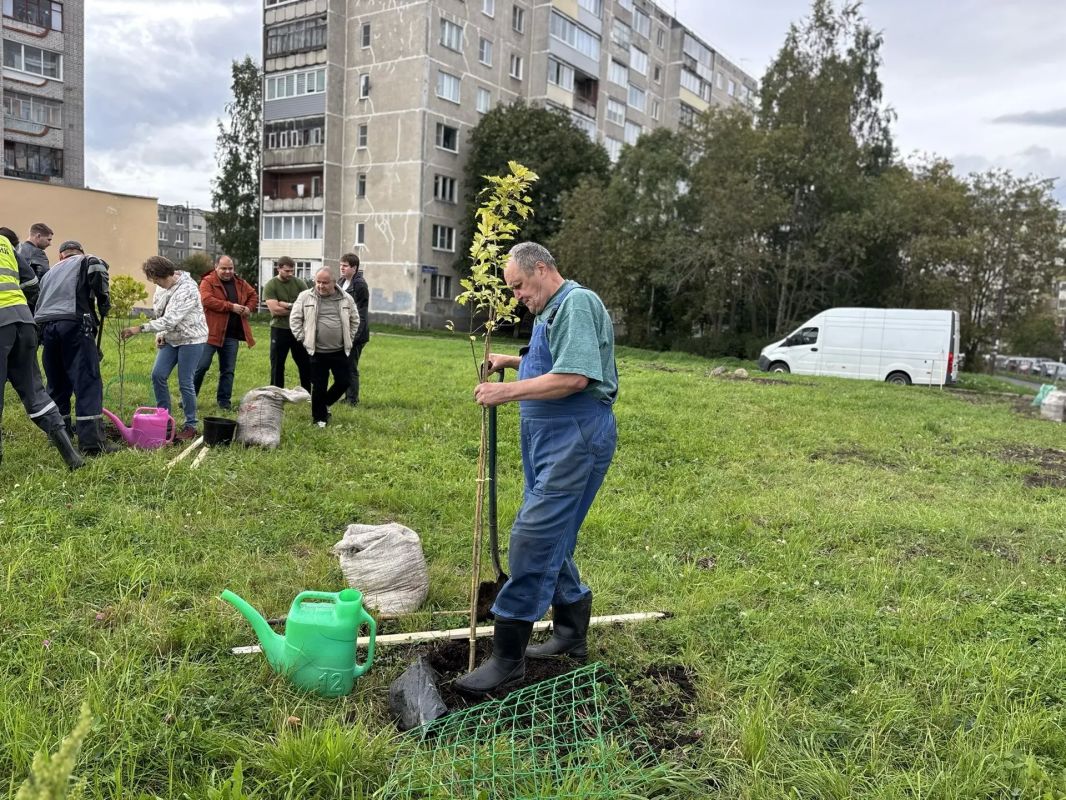 Колыхматова: Сквер Генерала Фролова на Кукковке преображается! Колыхматова: Сквер Генерала Фролова на Кукковке преображается!
