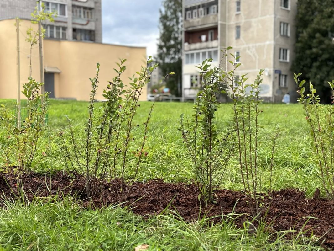 Колыхматова: Сквер Генерала Фролова на Кукковке преображается! Колыхматова: Сквер Генерала Фролова на Кукковке преображается!