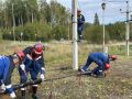 Колыхматова: Новый полигон для подготовки энергетиков в Петрозаводске