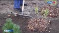 «Сегежа Групп» подарила городу современную спортивную и детскую площадку