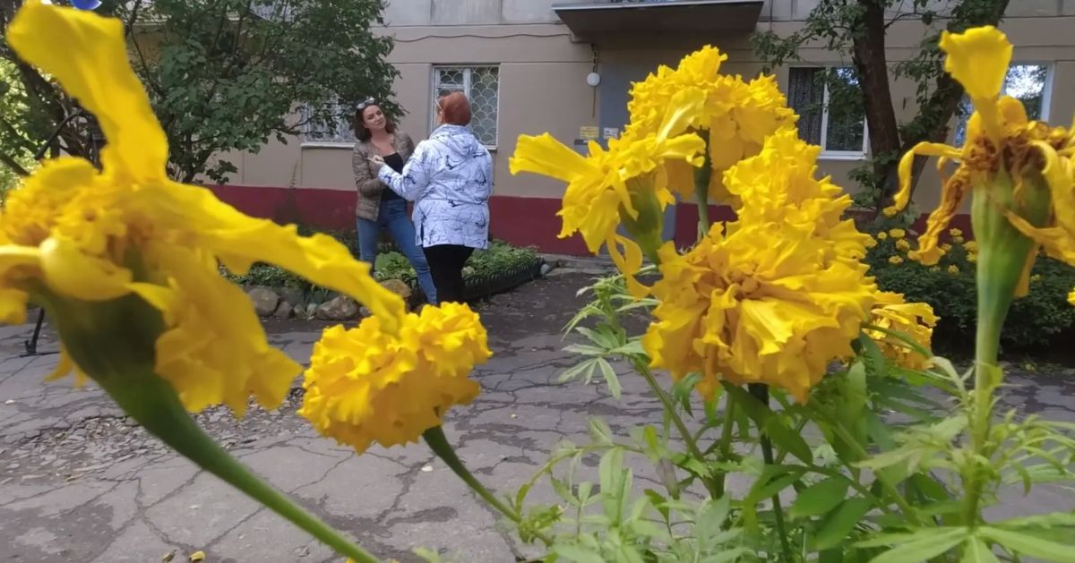 В Петрозаводске может появиться аллея кантелистов В Петрозаводске может появиться аллея кантелистов
