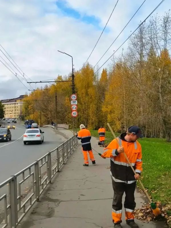 Колыхматова: Сохраняем Петрозаводск чистым! Колыхматова: Сохраняем Петрозаводск чистым!