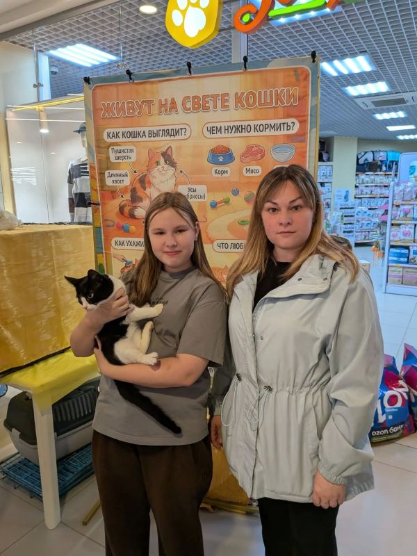 Кошкин дом: 35 кошек обрели хозяев в Петрозаводске, а две отлично прижились в троллейбусном депо Кошкин дом: 35 кошек обрели хозяев в Петрозаводске, а две отлично прижились в троллейбусном депо