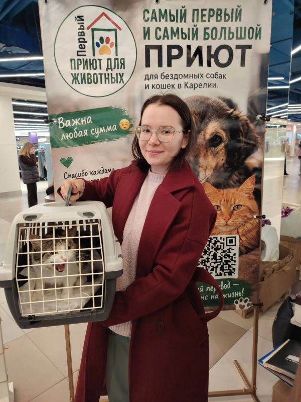 Кошкин дом: 35 кошек обрели хозяев в Петрозаводске, а две отлично прижились в троллейбусном депо Кошкин дом: 35 кошек обрели хозяев в Петрозаводске, а две отлично прижились в троллейбусном депо