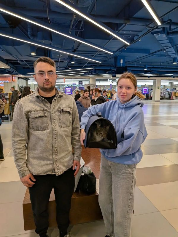 Кошкин дом: 35 кошек обрели хозяев в Петрозаводске, а две отлично прижились в троллейбусном депо Кошкин дом: 35 кошек обрели хозяев в Петрозаводске, а две отлично прижились в троллейбусном депо