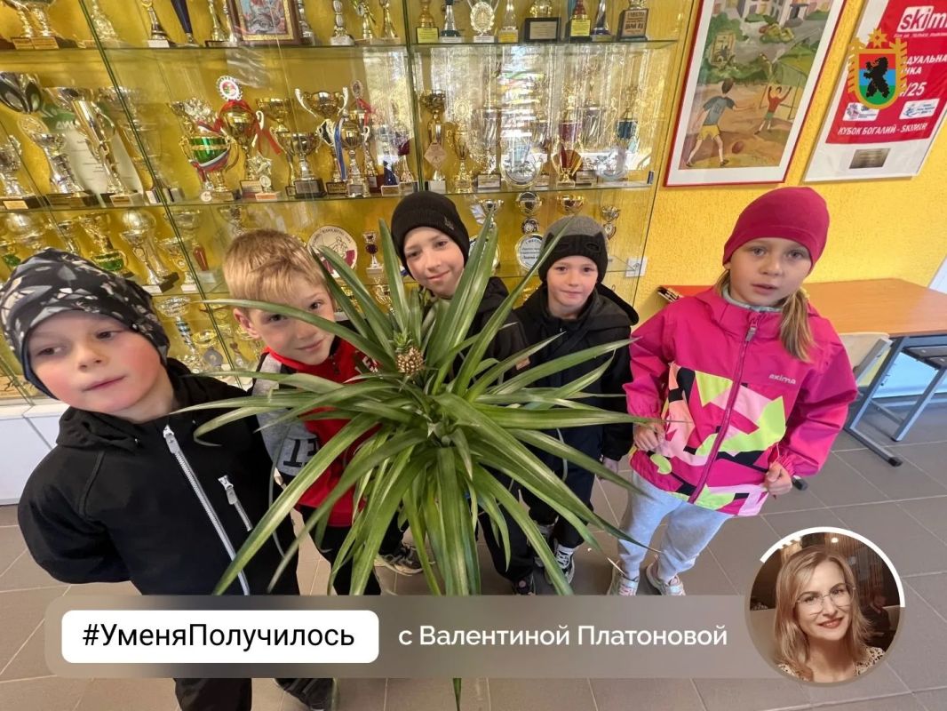 В спортшколе Костомукши неожиданно выросли ананасы В спортшколе Костомукши неожиданно выросли ананасы