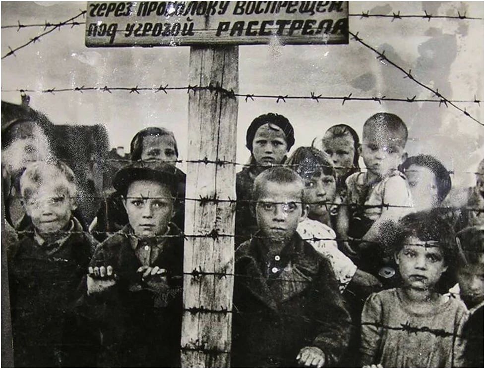 «Очень добрый» сосед: Колючая проволока и концлагеря Петрозаводска, о которых забыли ради дружбы