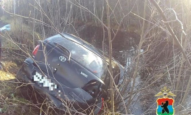 Супружеская пара погибла в заполненном водой кювете в Кондопожском районе